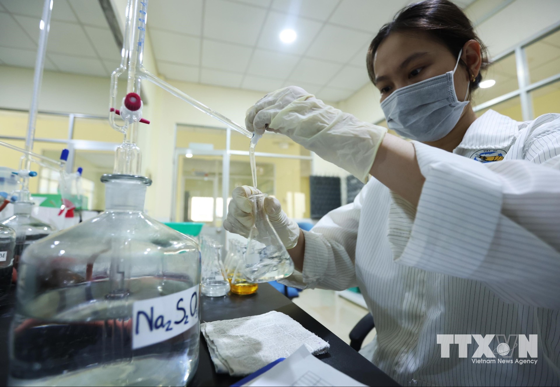 Quy trình sản xuất tảo làm thức ăn cho tôm post theo phương pháp vi tảo ở Khu phức hợp sản xuất tôm giống Công nghệ cao Việt Úc, phường Nhà Mát. (Ảnh: Vũ Sinh/TTXVN)